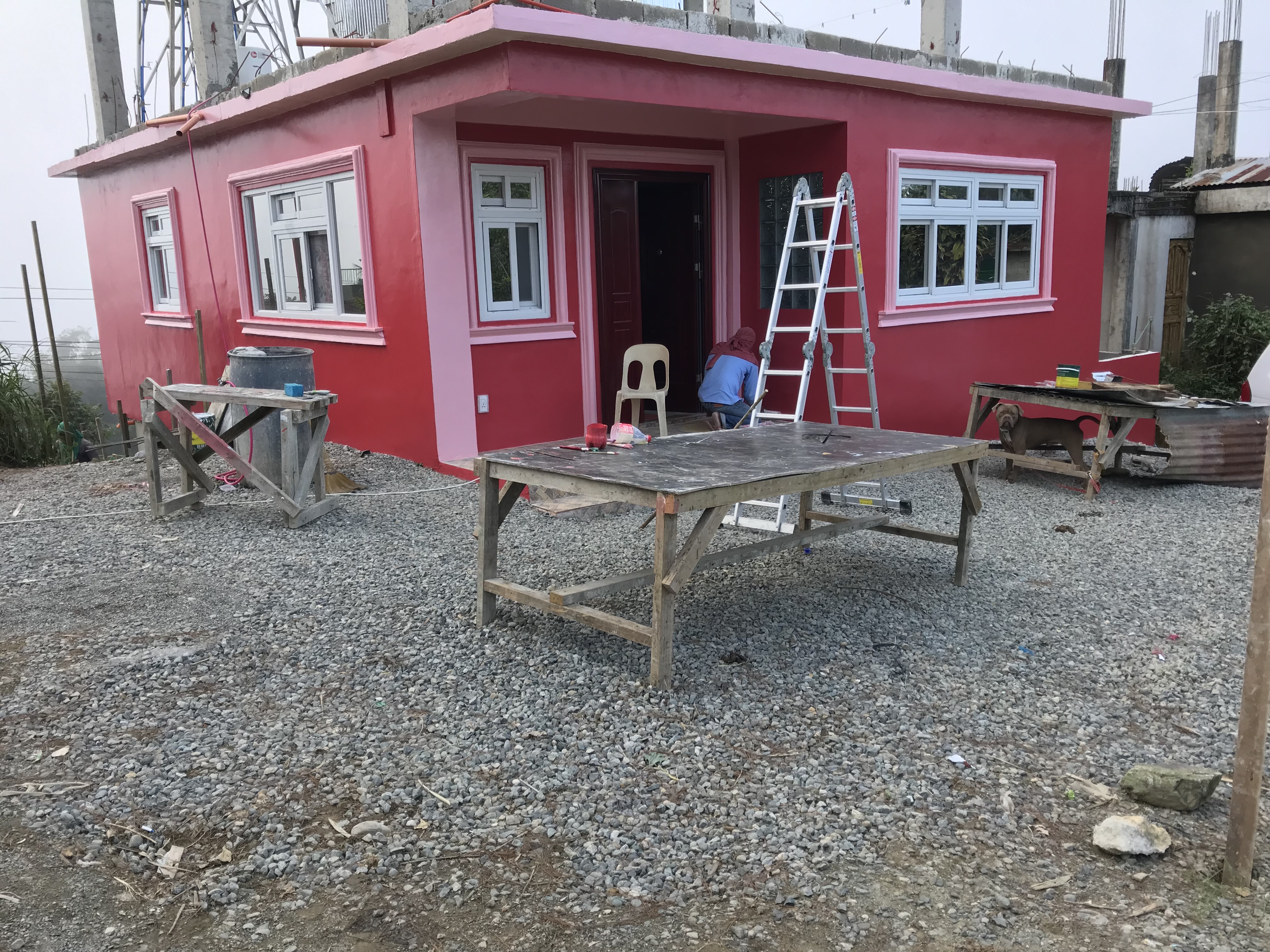 Premium Kitchen Renovation